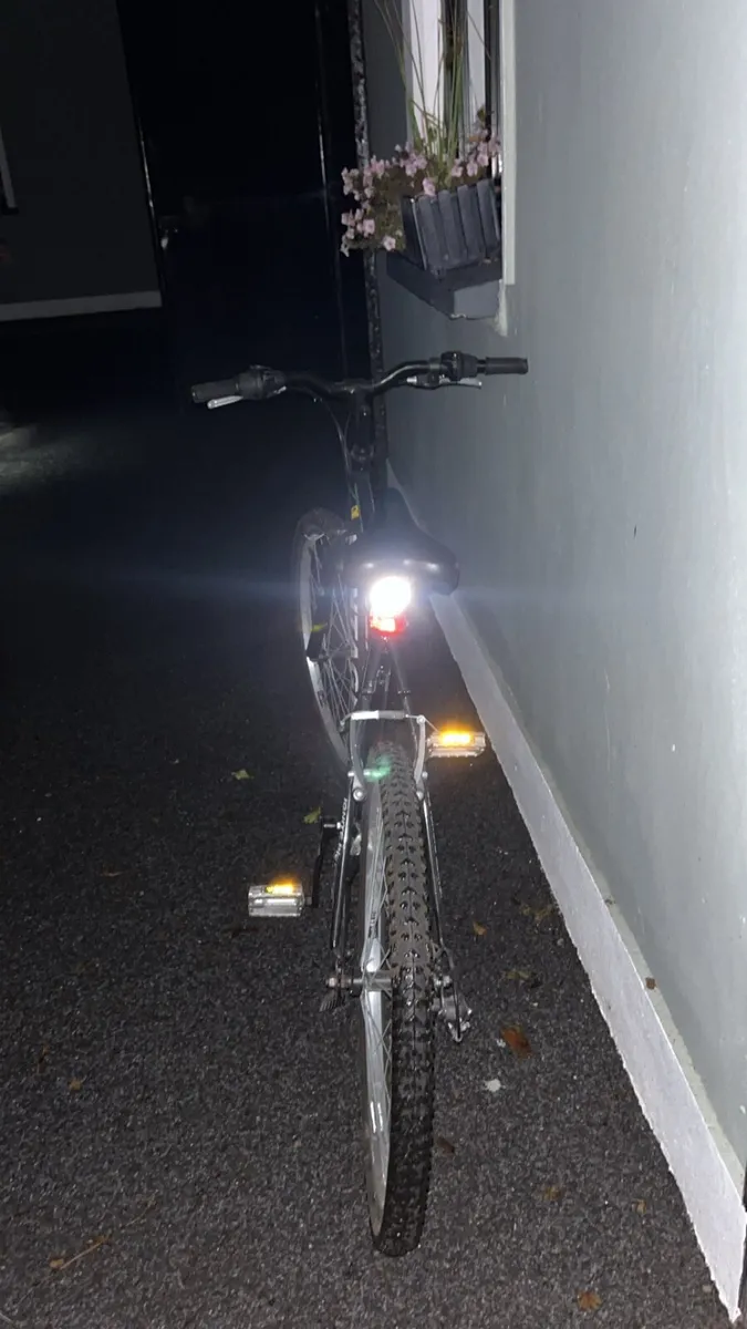 Bike - Image 2