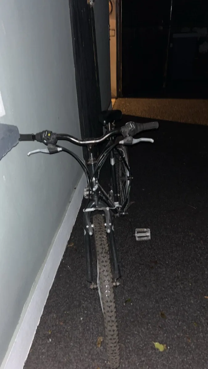 Bike - Image 3