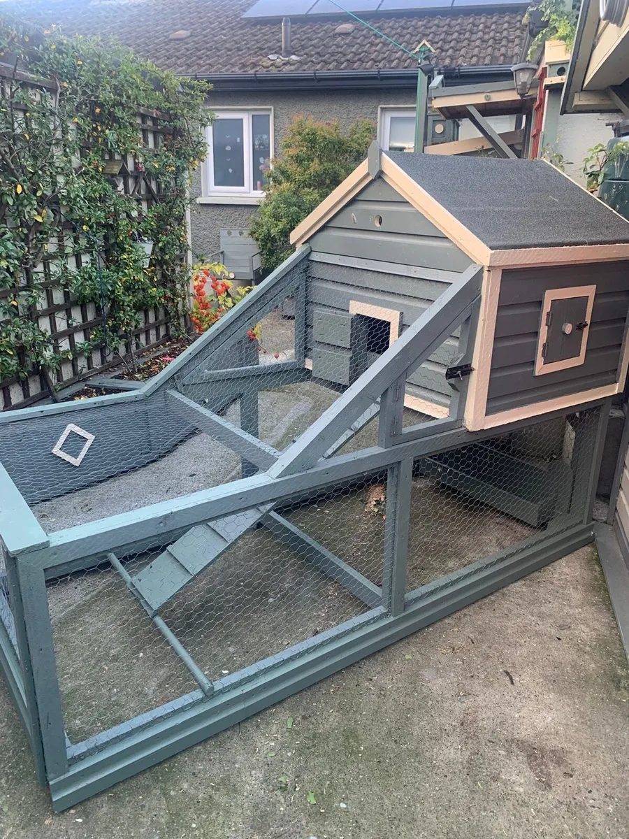 Chicken run - Image 1