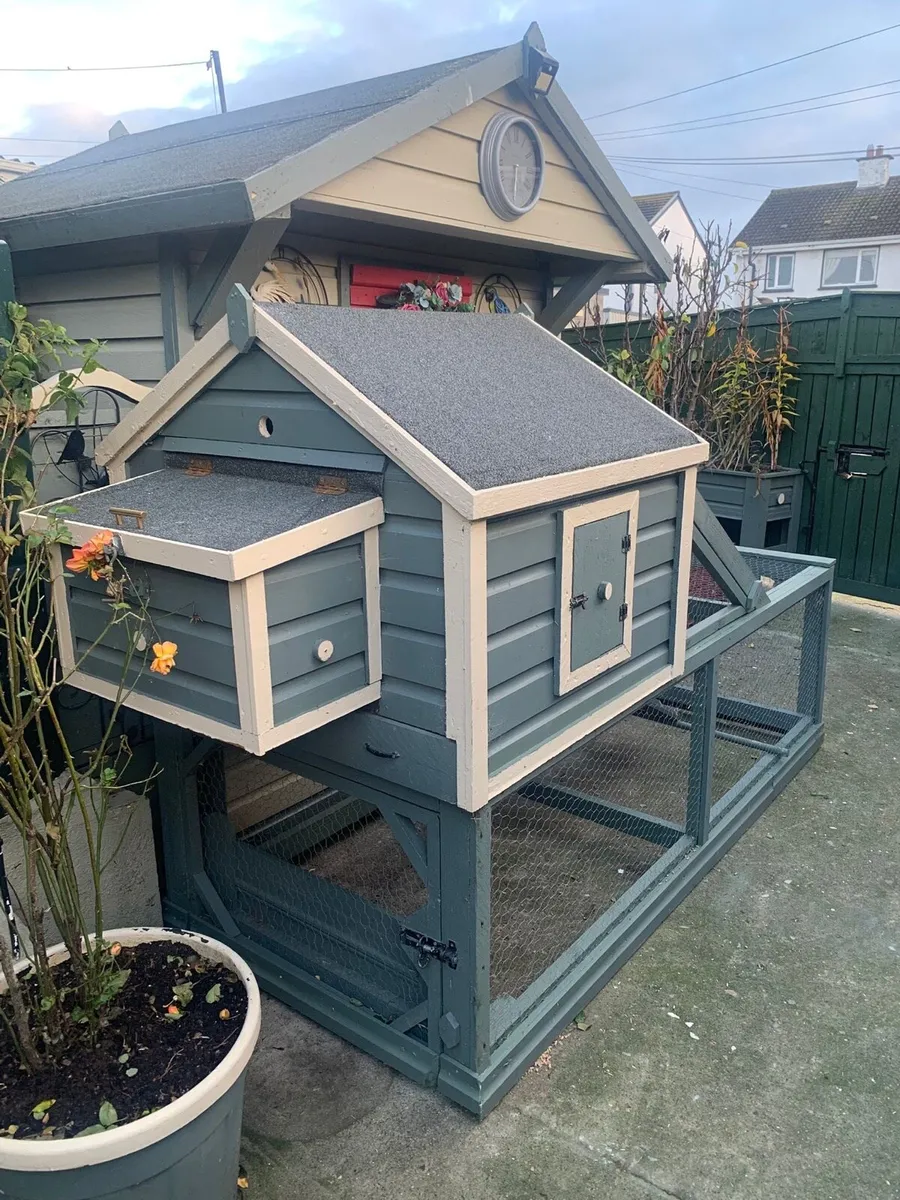 Chicken run - Image 3