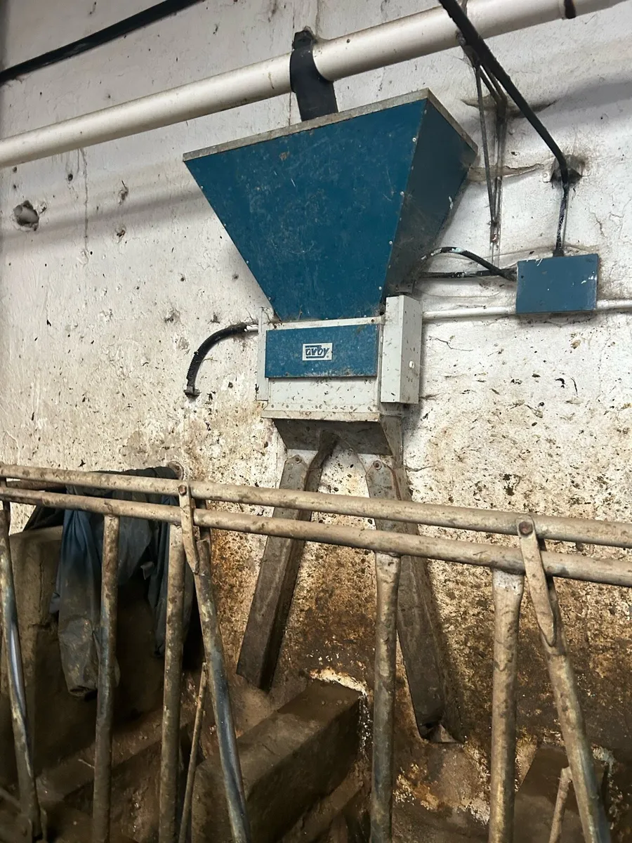 Orby Compressed Air Feeders - Image 4