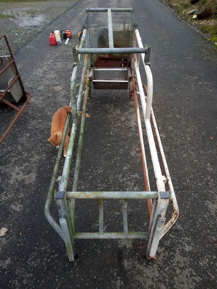 Pig Sow Crates - Image 2
