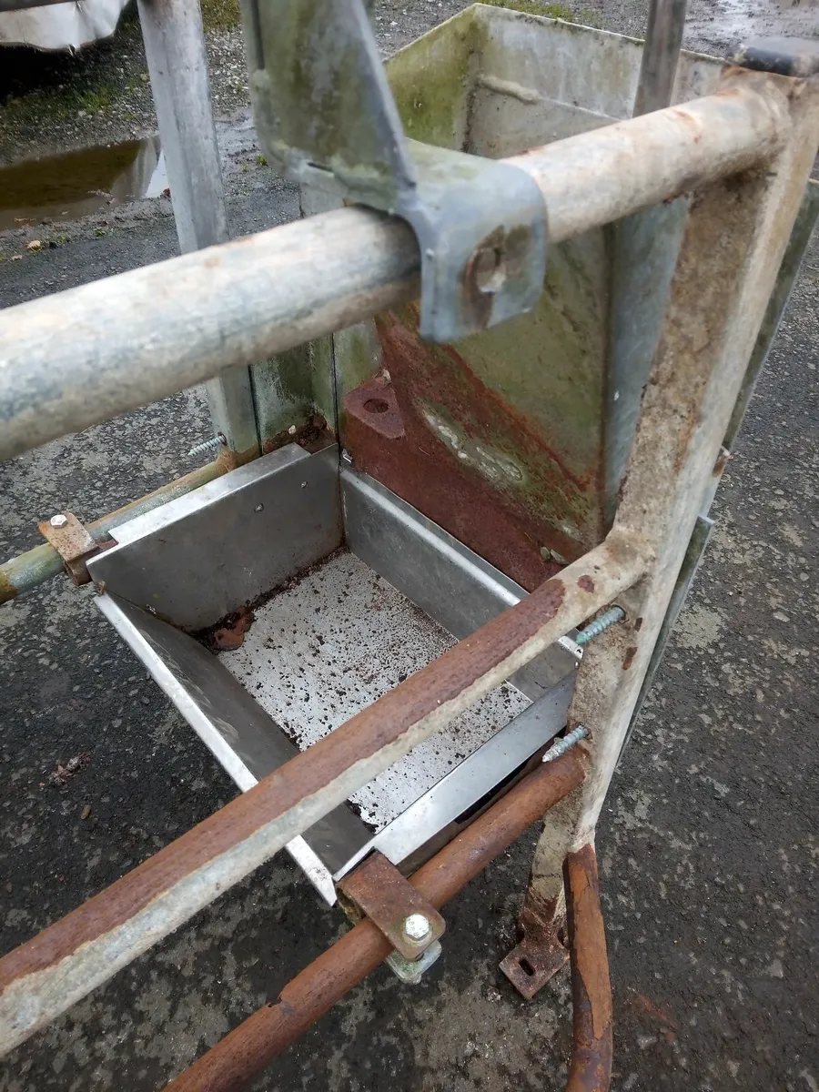 Pig Sow Crates - Image 3