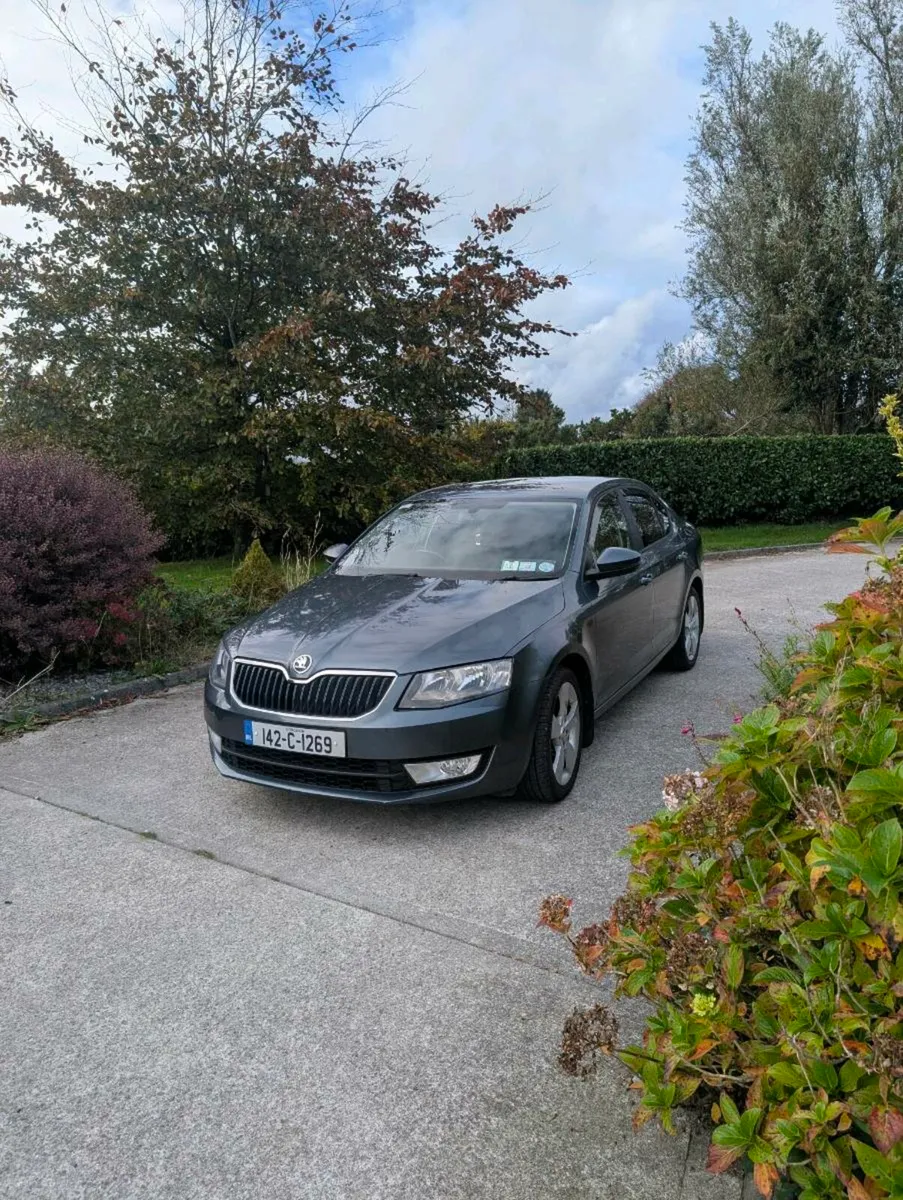 141 Skoda Octavia 1.6D - Image 1