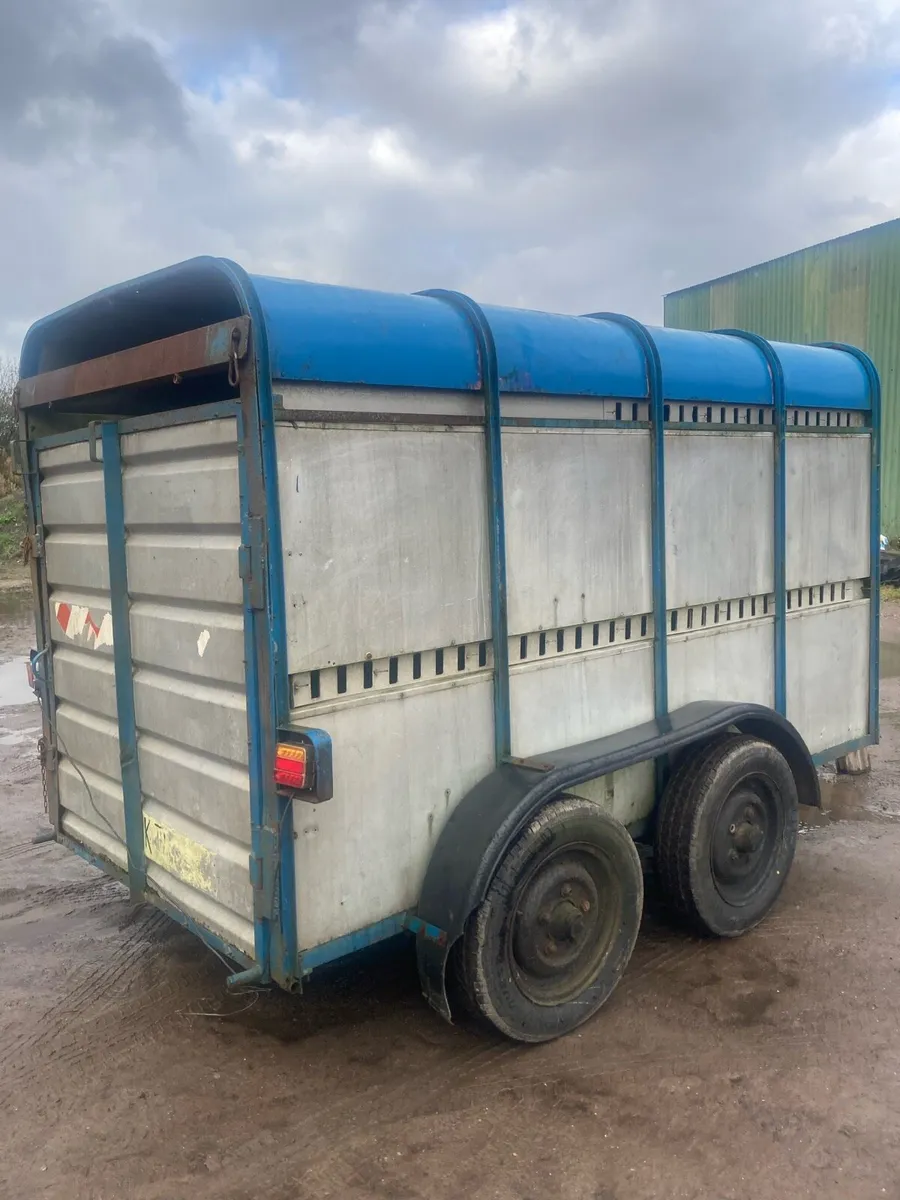 10x5 Cattle Box - Image 1