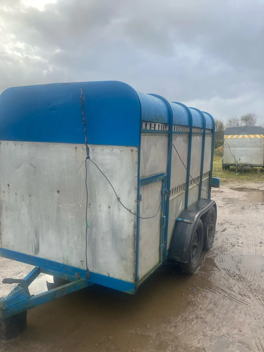 10x5 Cattle Box - Image 2