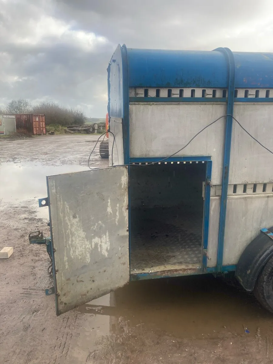 10x5 Cattle Box - Image 3