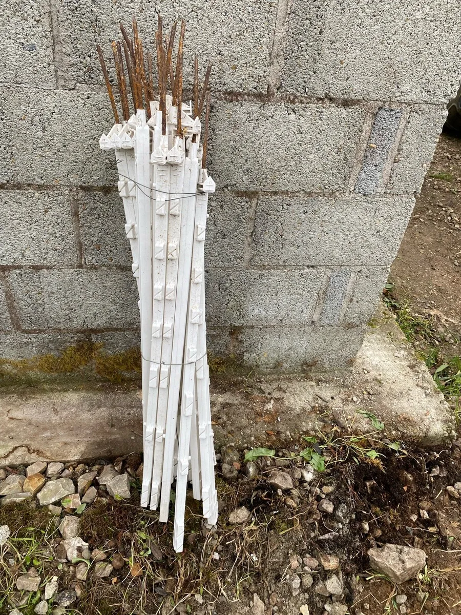 Electric fence - Image 3