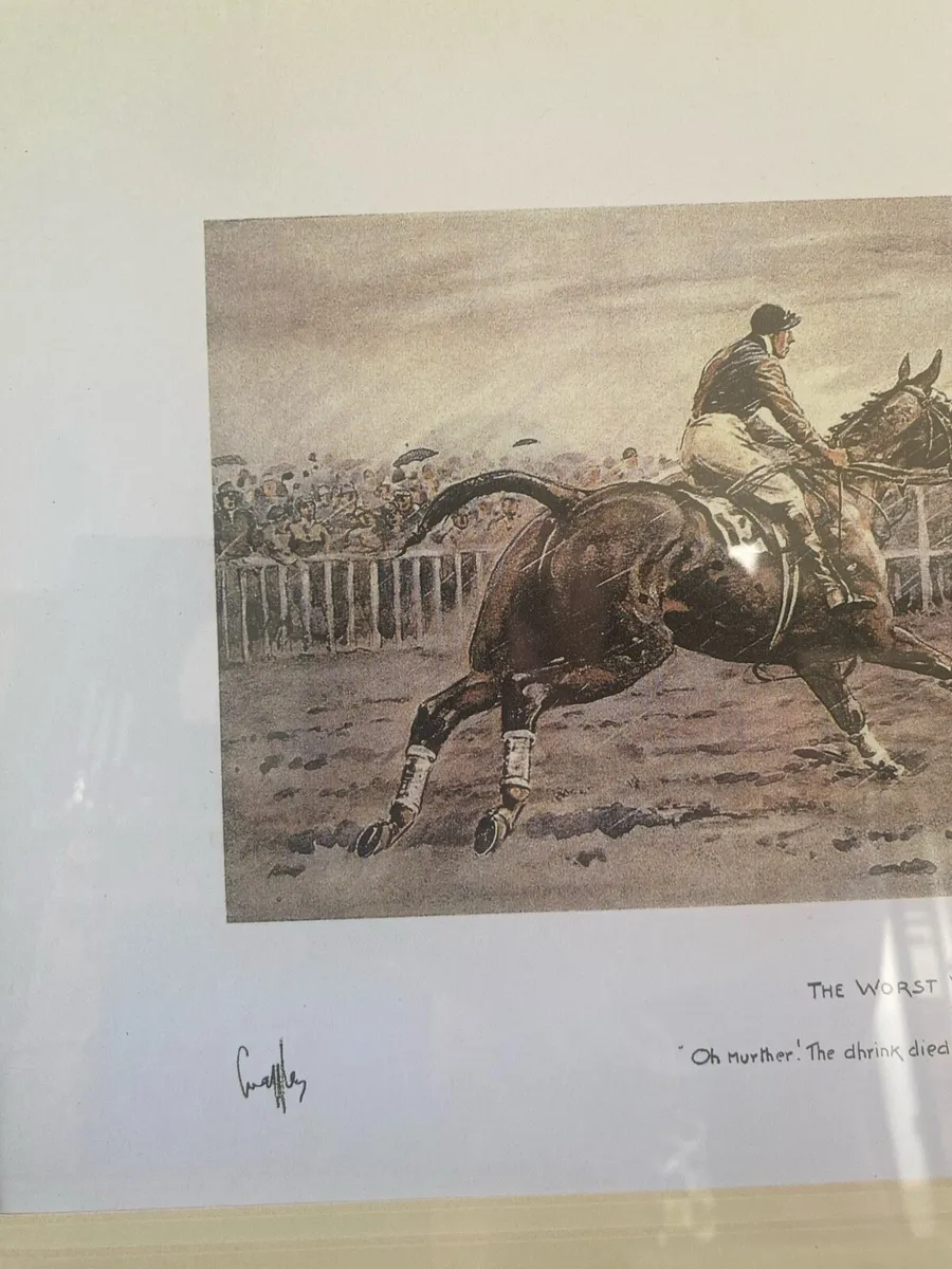 Snaffles point to point - Image 2