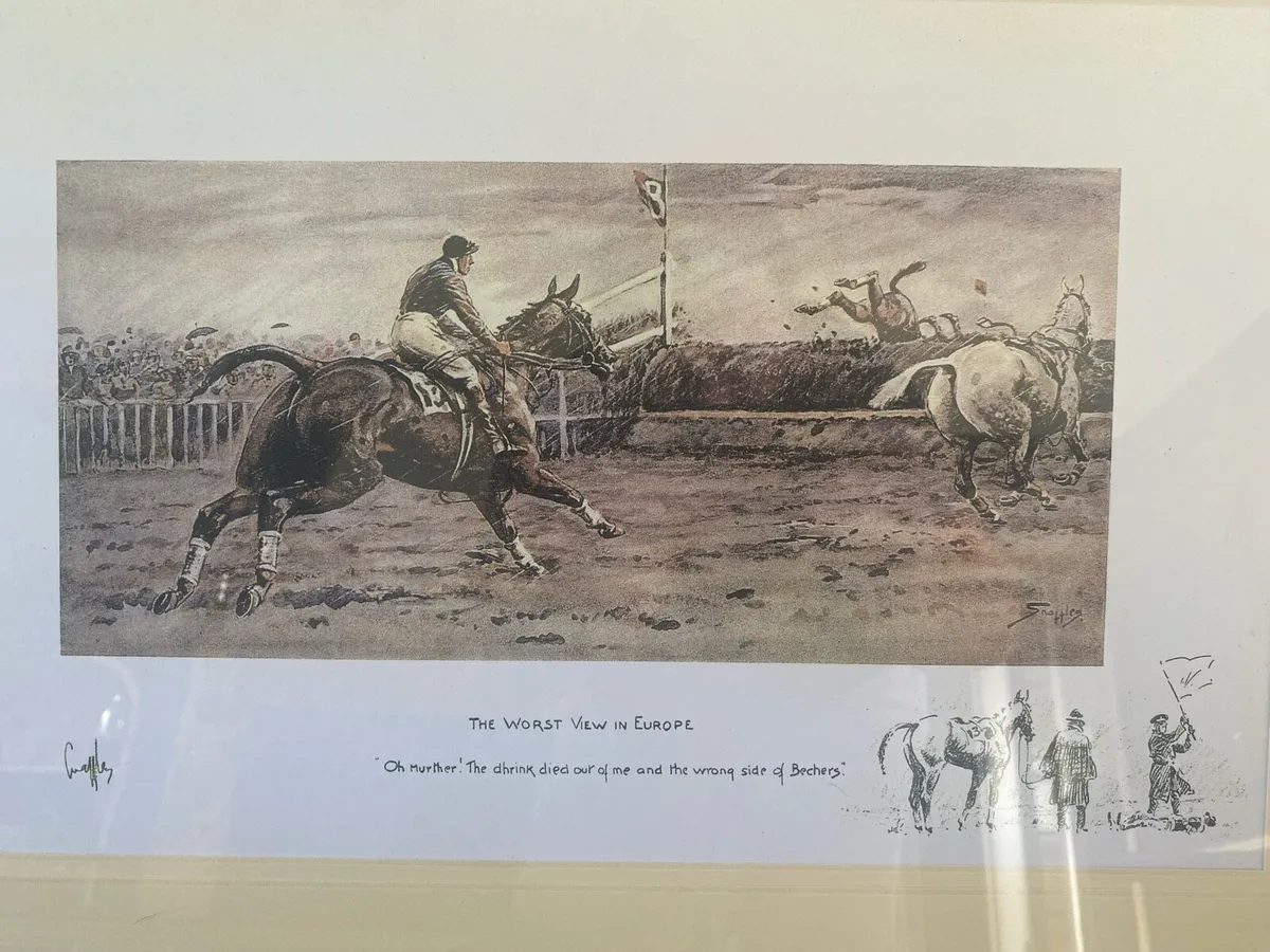 Snaffles point to point - Image 3