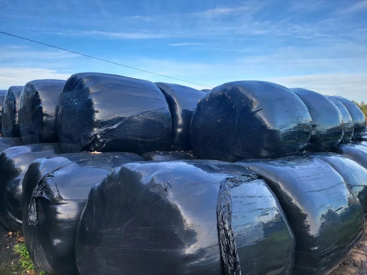Silage bales