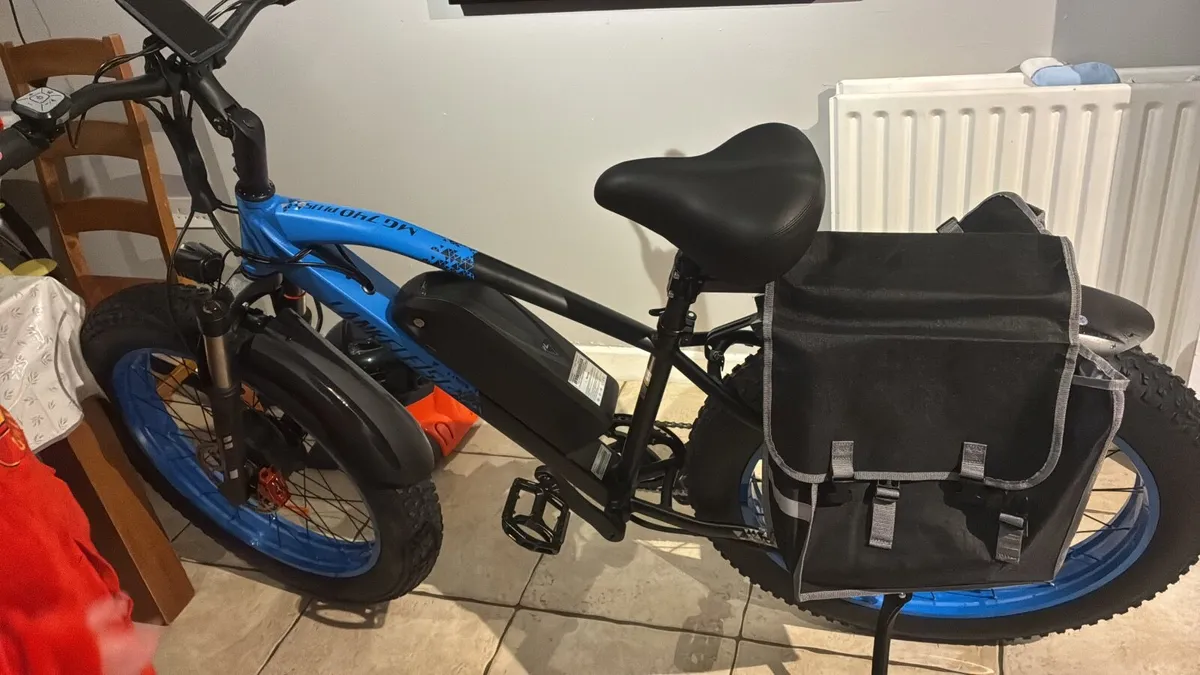 Electric bike - Image 1