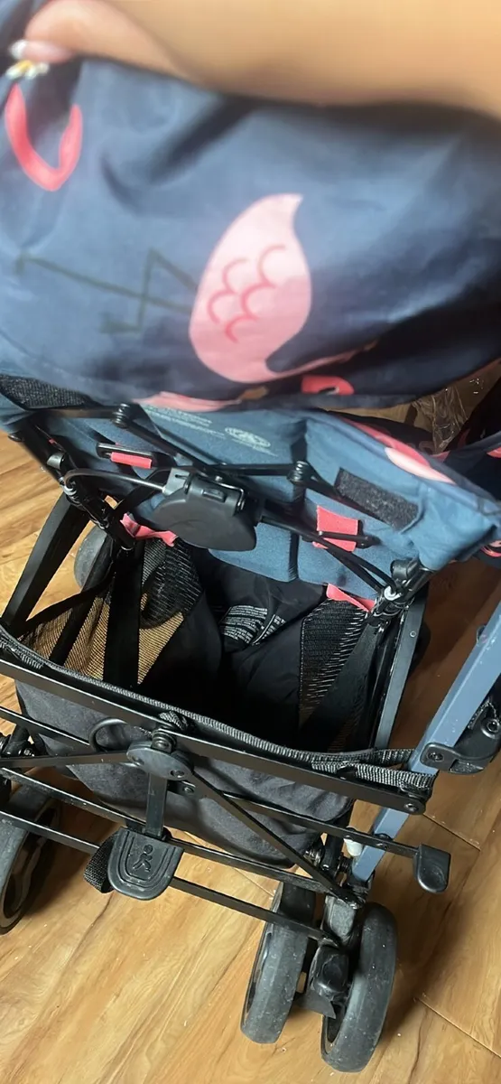 Buggy - Image 1