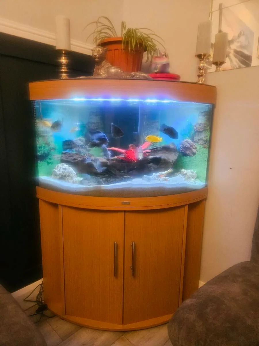 190l corner unit - Image 1