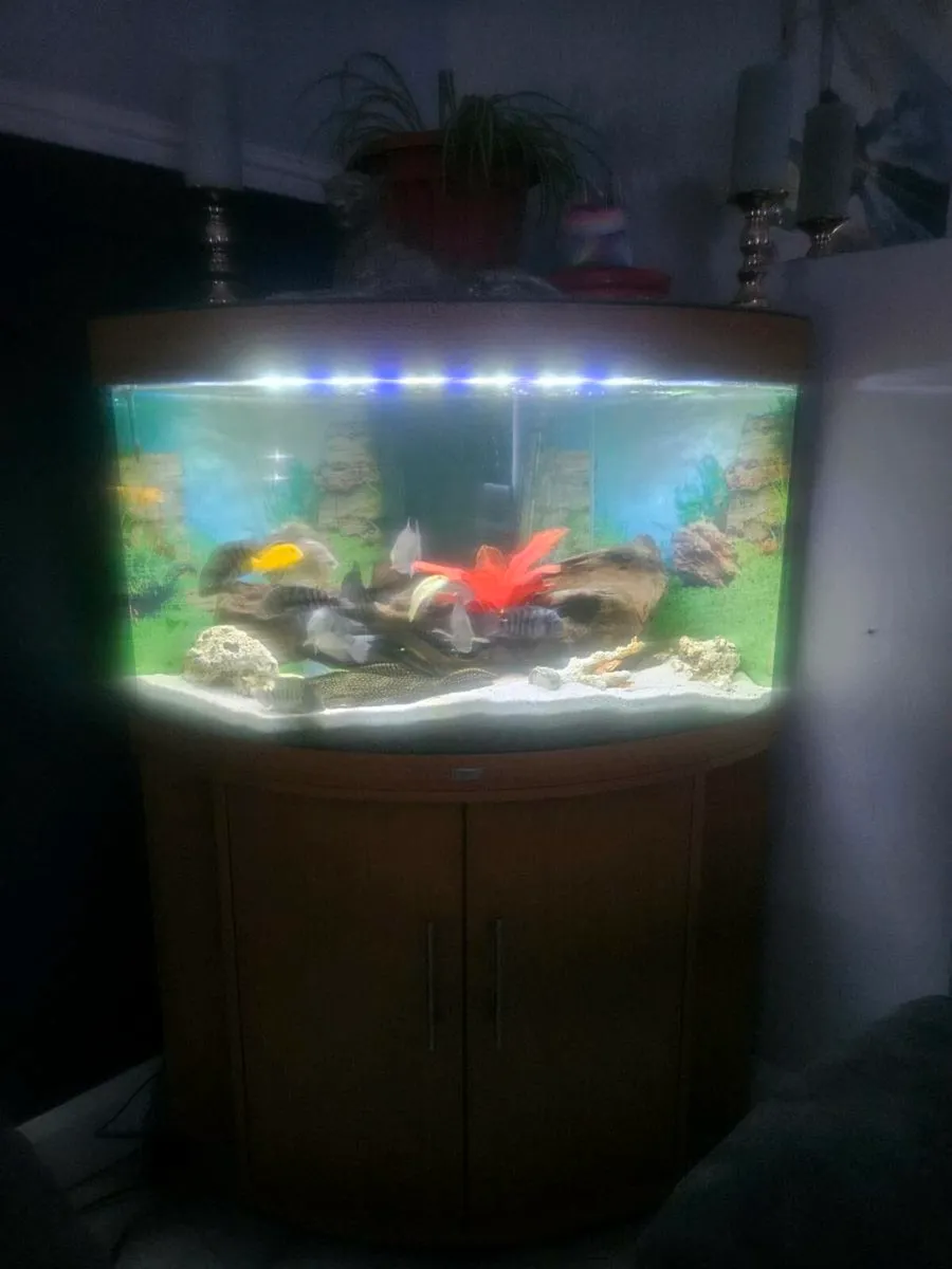 190l corner unit - Image 3