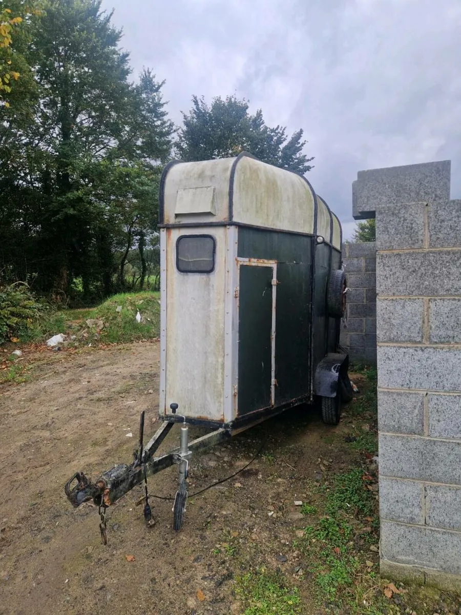 Horse box - Image 3
