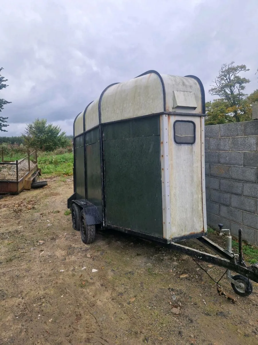 Horse box - Image 4
