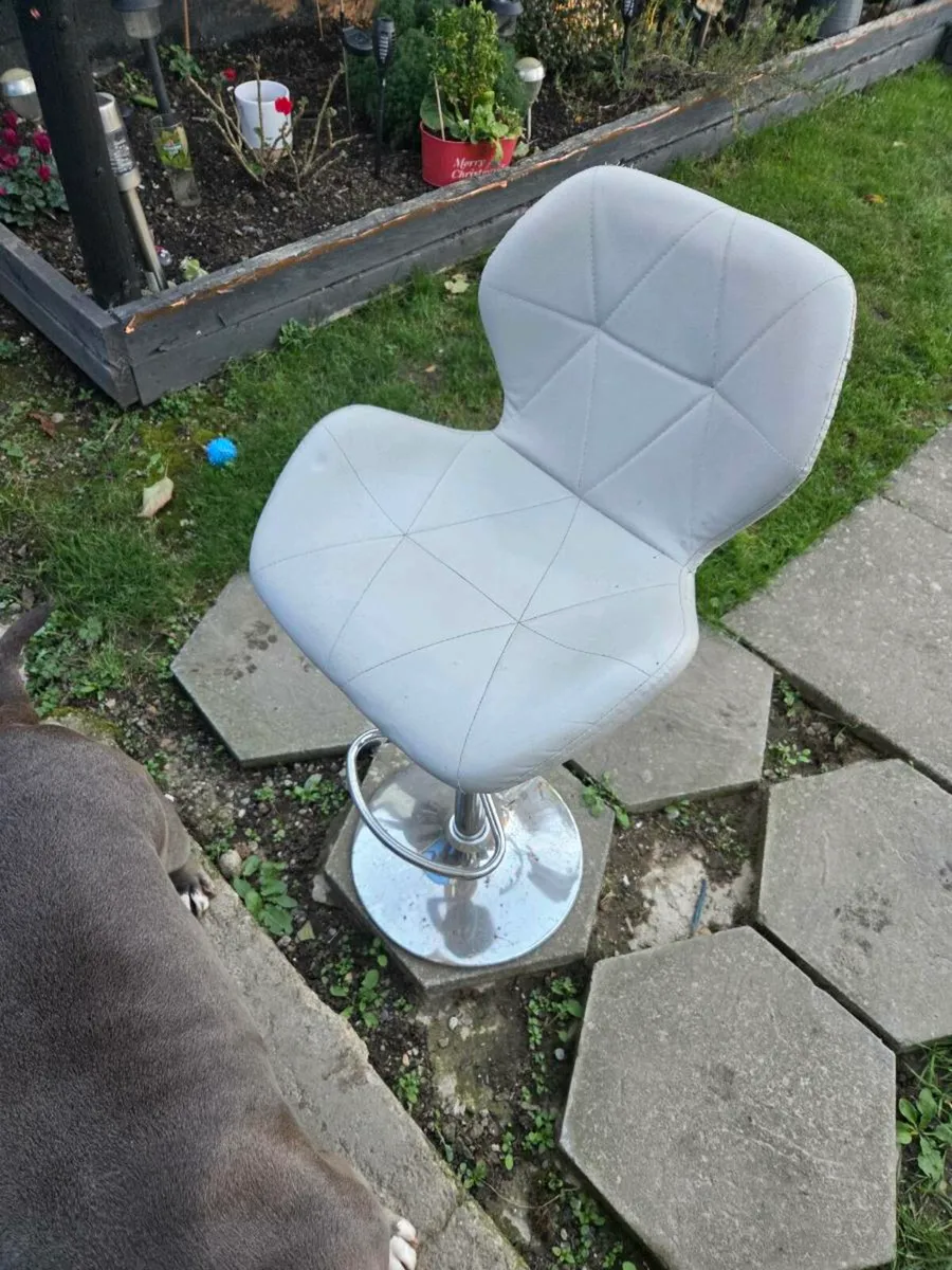 Kitchen chairs - Image 1