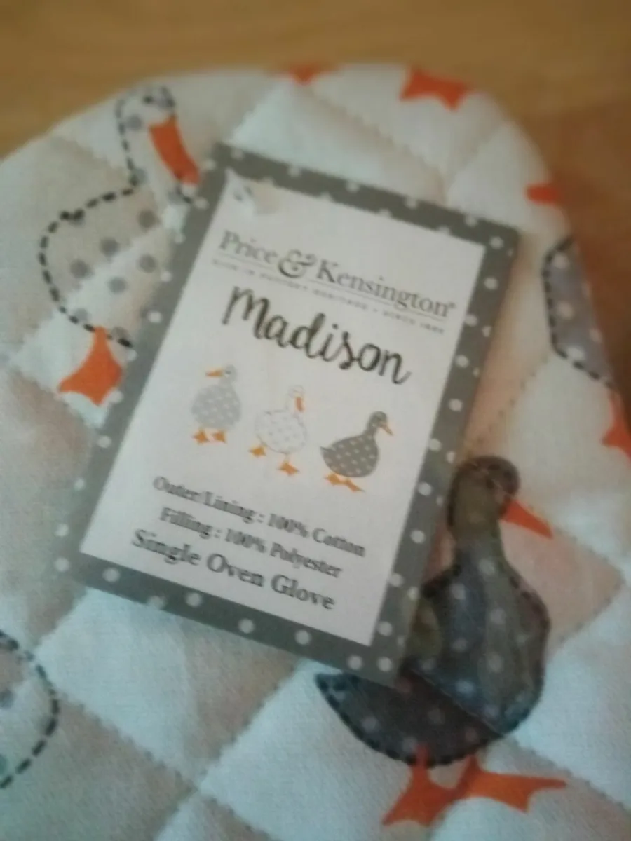 4 Placemats & 1 Matching Glove - Image 4