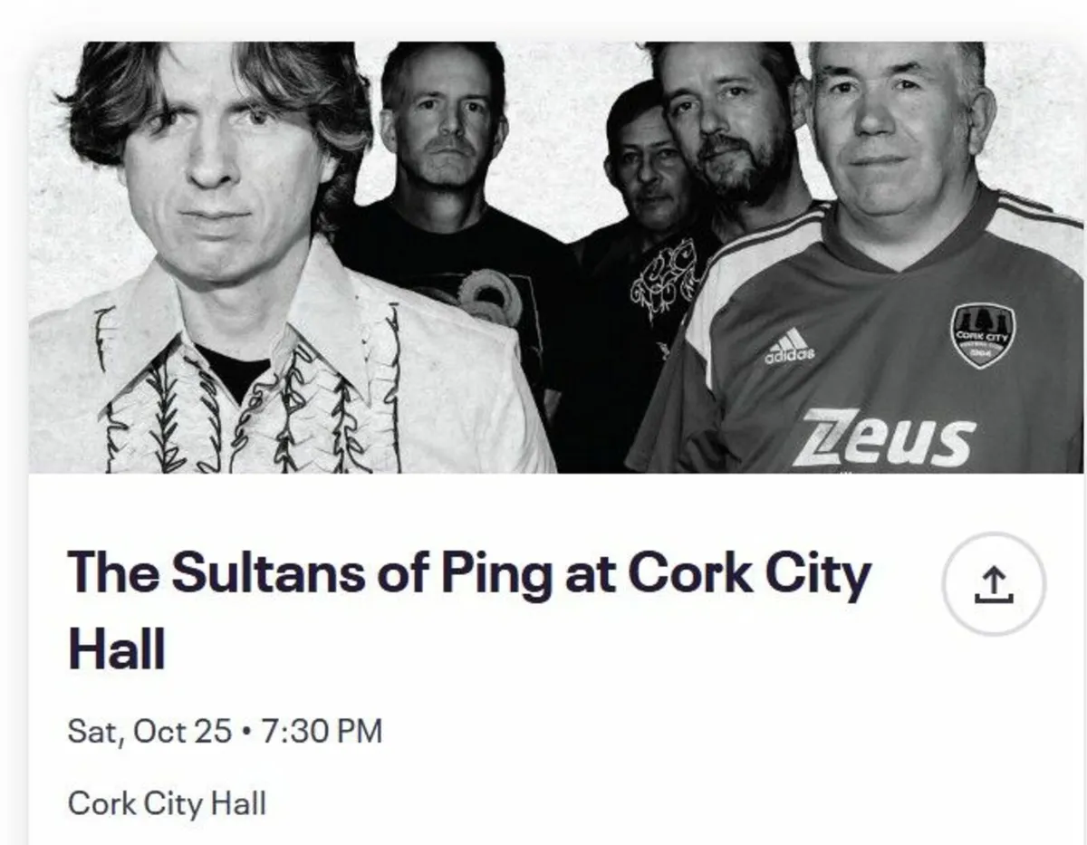 The Sultans of Ping at Cork City Hall
