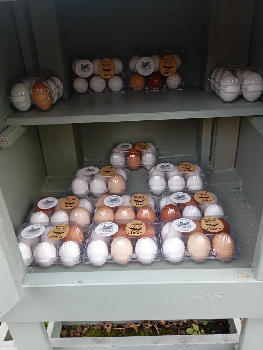 Fresh free range eggs - Image 2