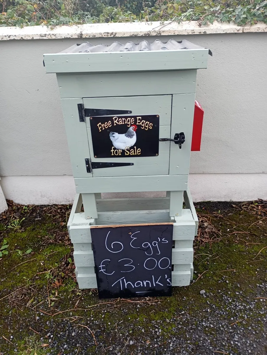 Fresh free range eggs - Image 3