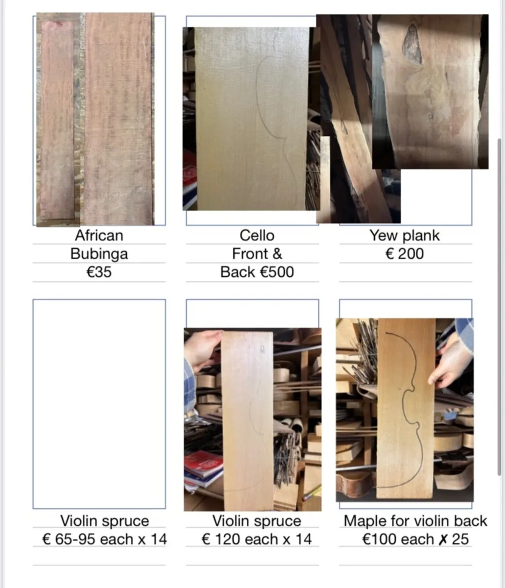 Wood for violin, guitar etc - Image 2