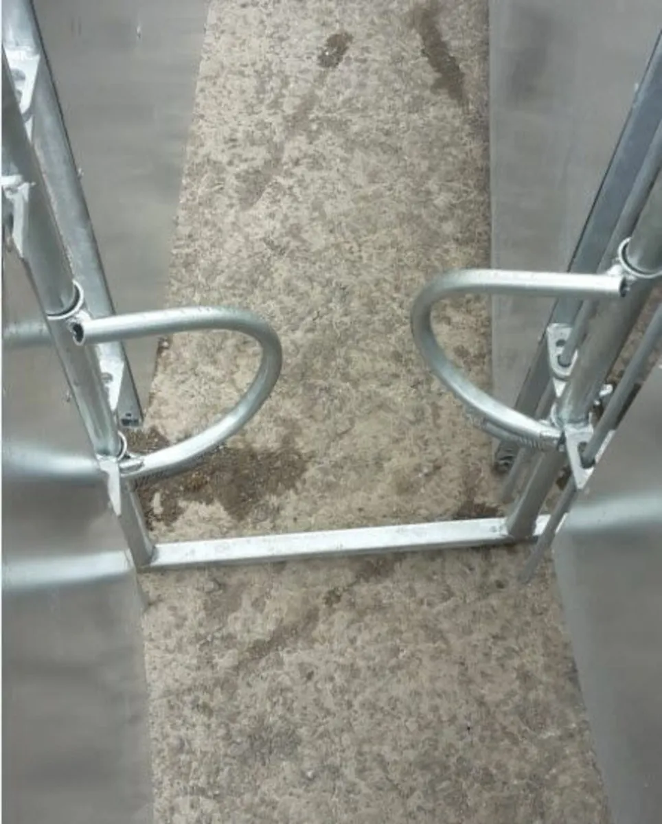 Anti backing gate - Image 1