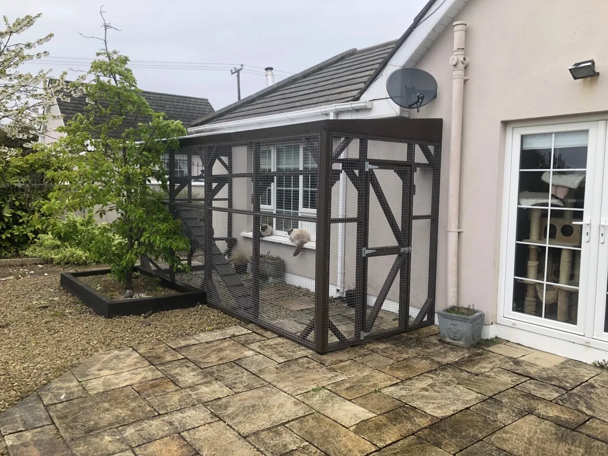Catio / Cattery - Image 1