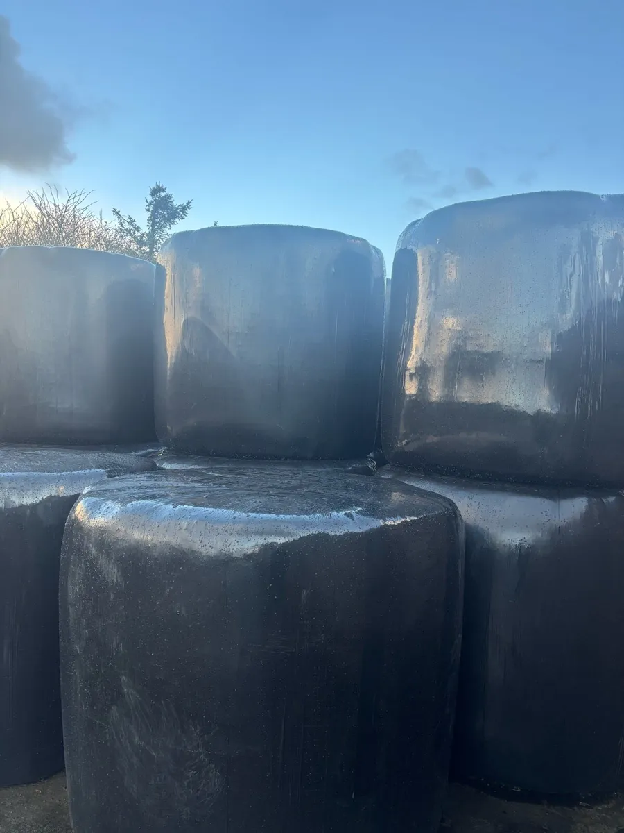 Haylage for sale in Cree