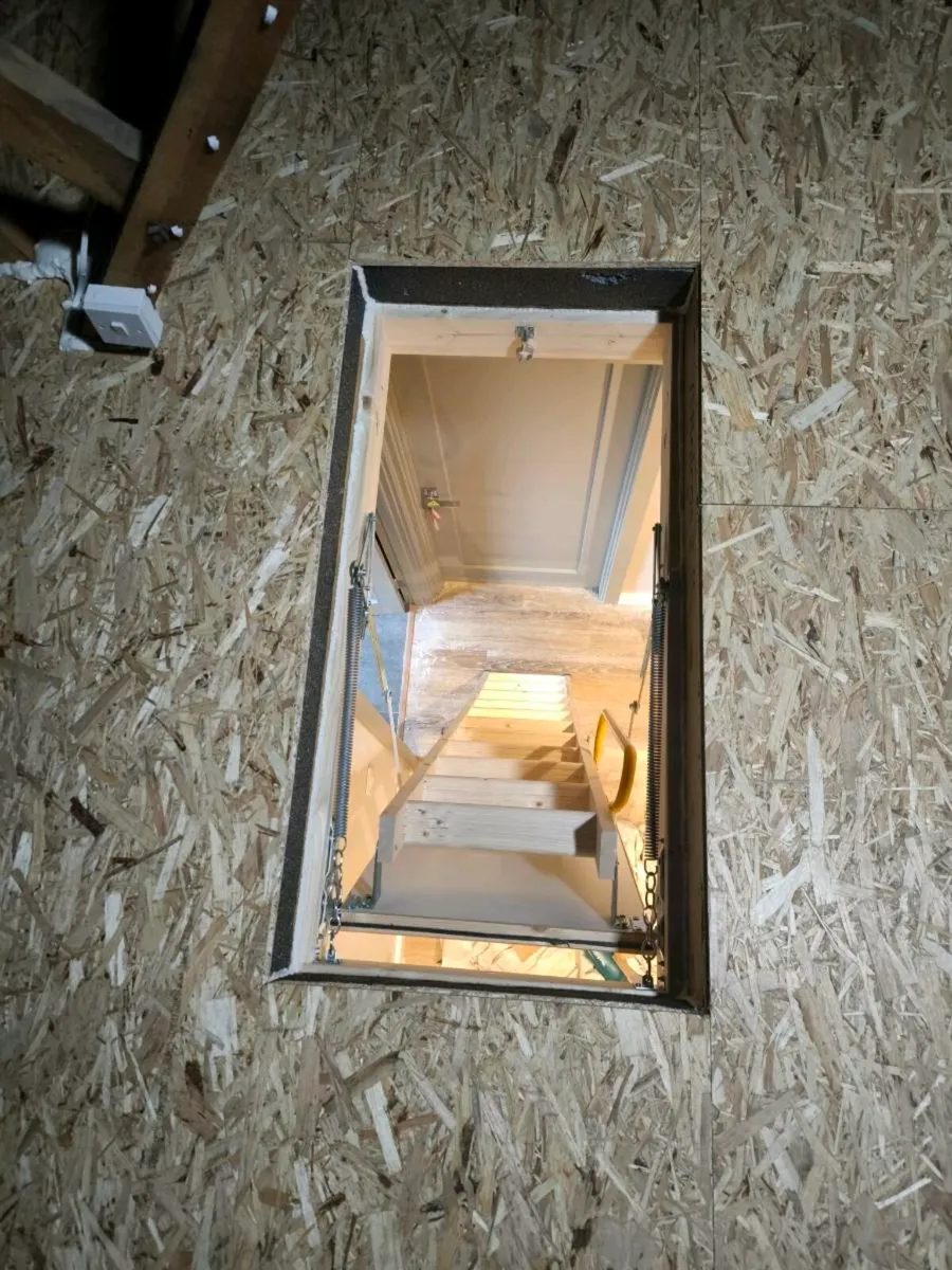 Attic Insulation - Image 1