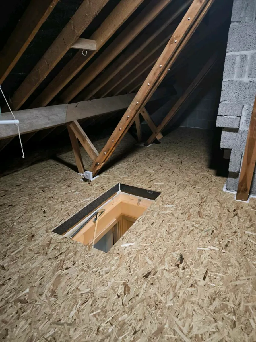 Attic Insulation - Image 2
