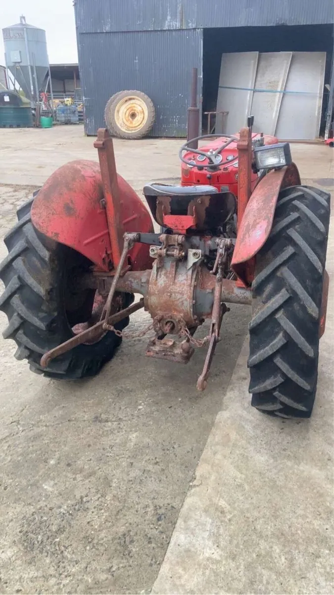 MF 135 - Image 3