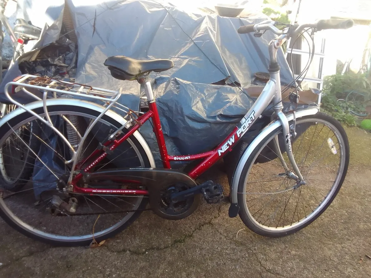 adult  bike for sale