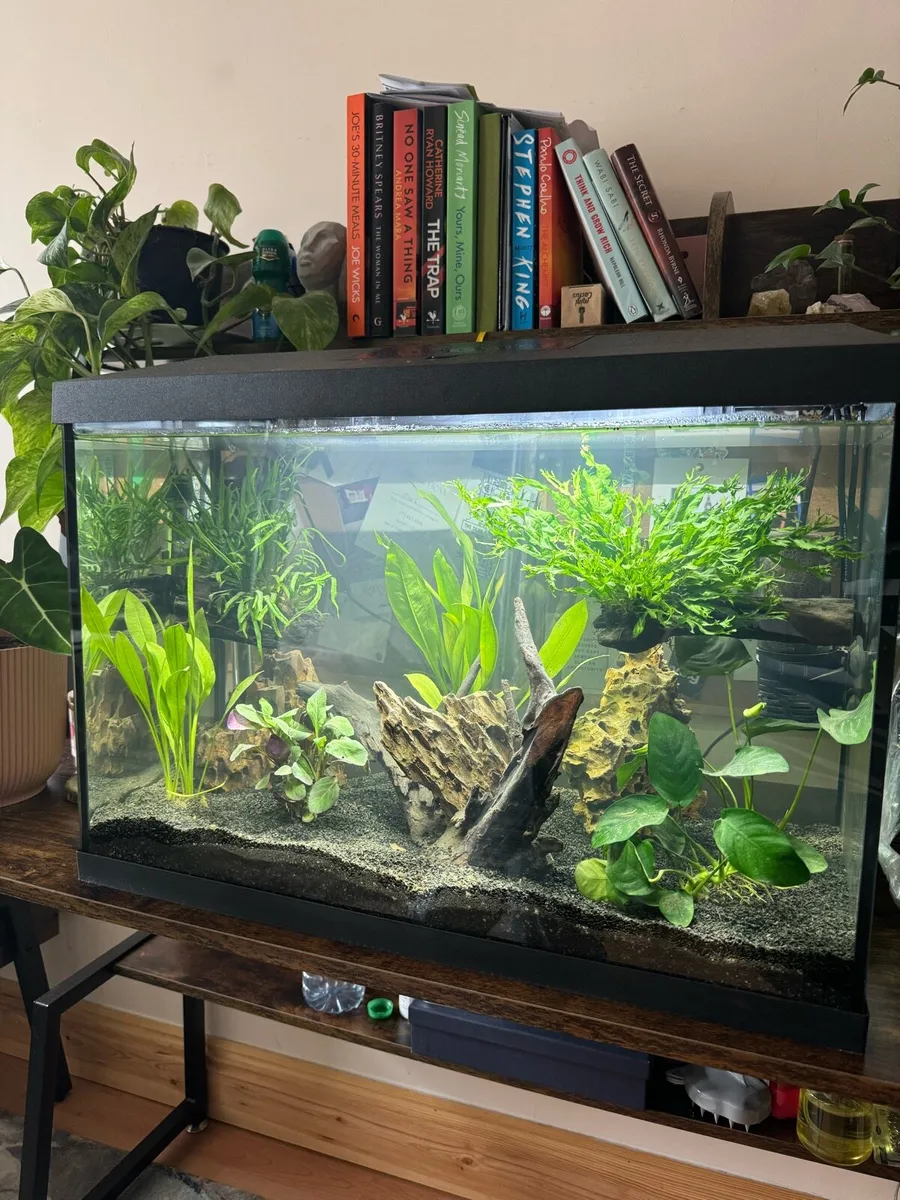 Fish Tank/aquarium - 105L - Image 1