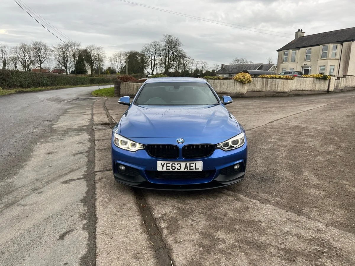 2014 BMW 420d M Sport - Image 2