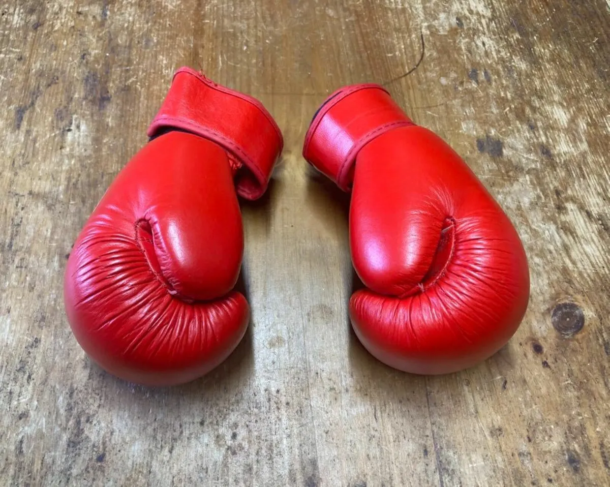 Blitz Taekwondo Sparring Gear Set for Kids - Image 3