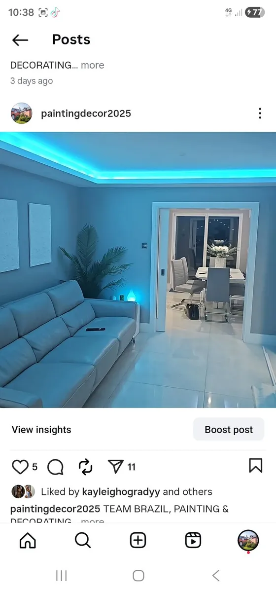 TEAM BRAZIL PAINTING & DECORATING - Image 1