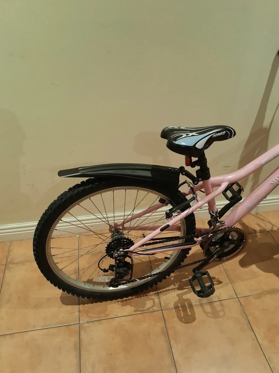 Bicycle - Image 2