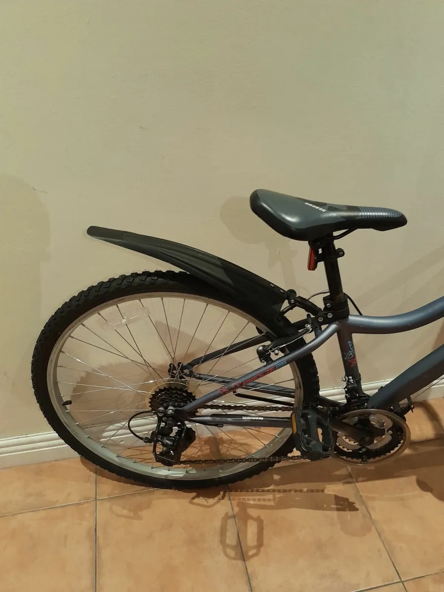Bicycle - Image 2