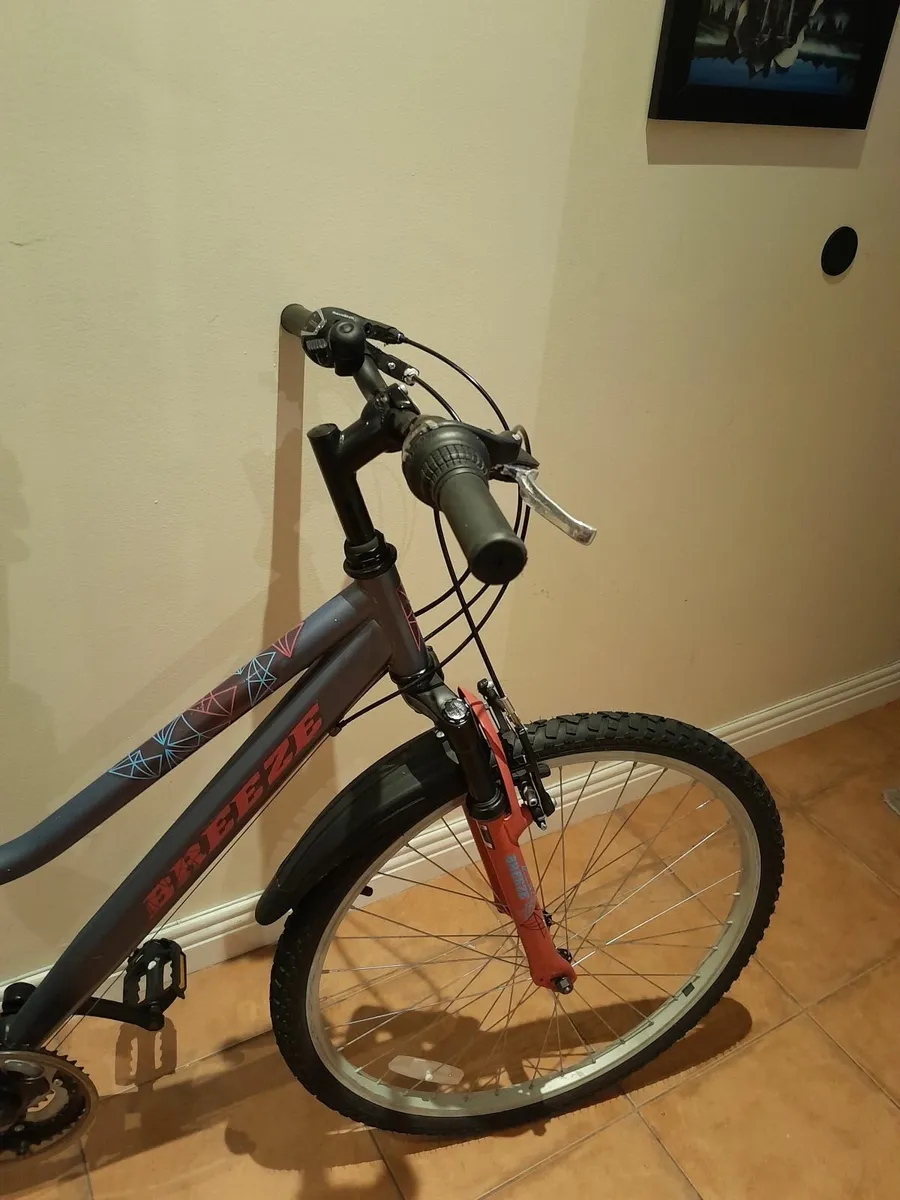 Bicycle - Image 3