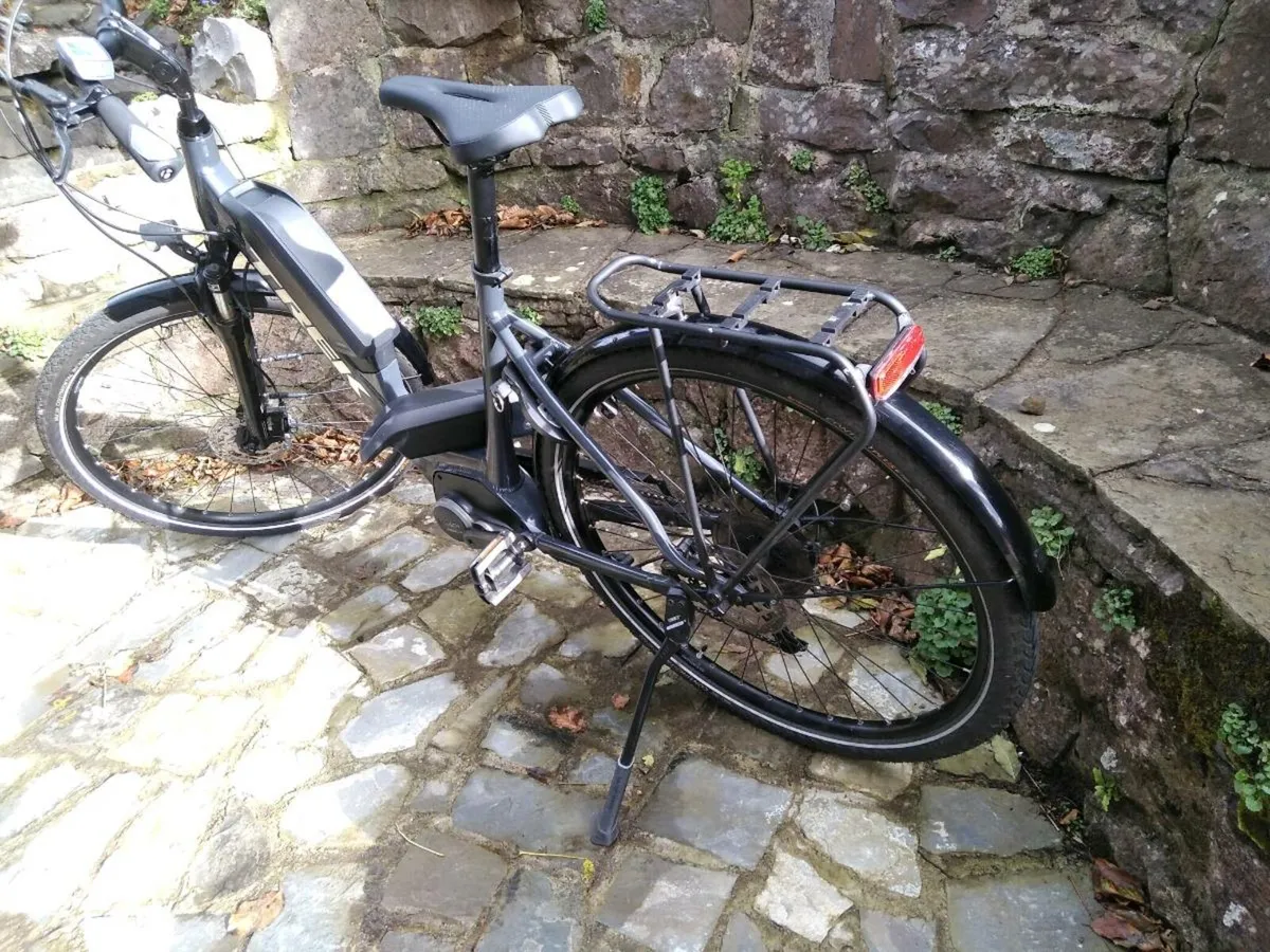 Ebike - Image 1