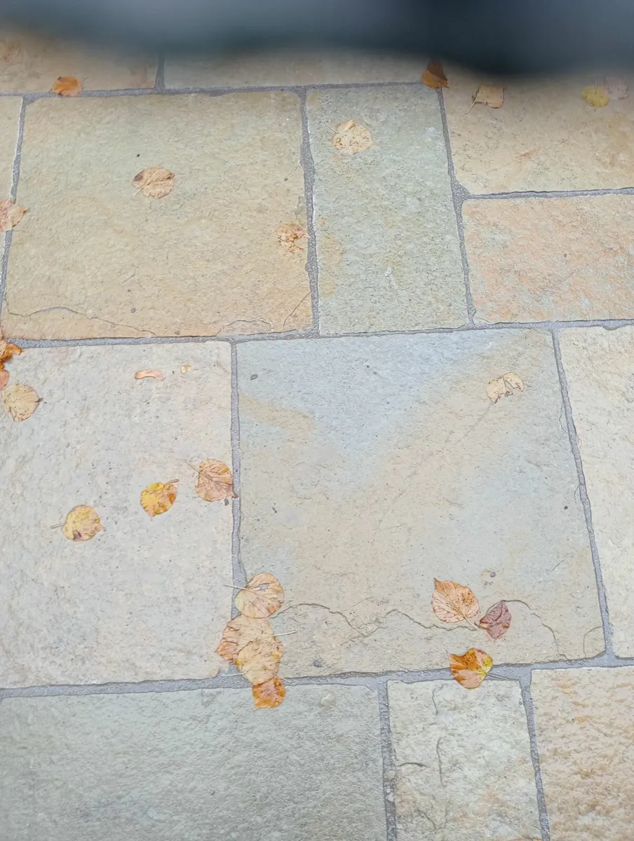 Yellow limestone paving