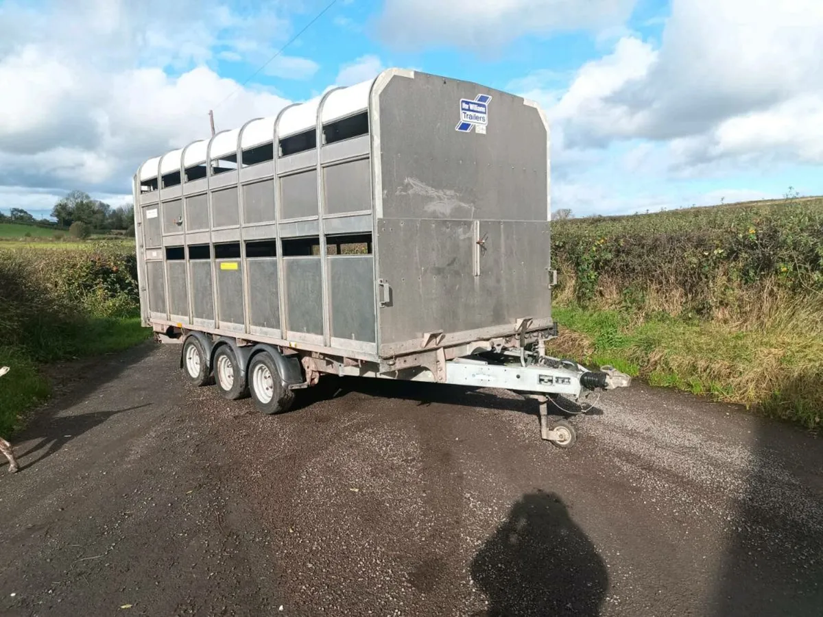 Ifor Williams dp livestock trailer - Image 2
