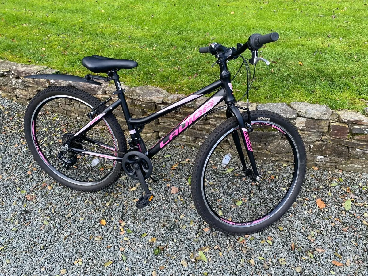 Girls Mountain Bike for Sale - Image 1