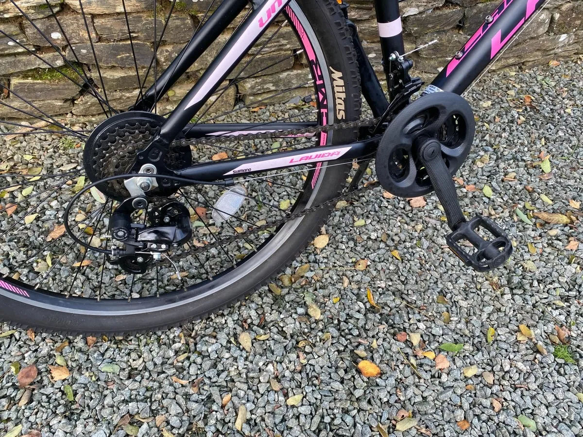 Girls Mountain Bike for Sale - Image 3