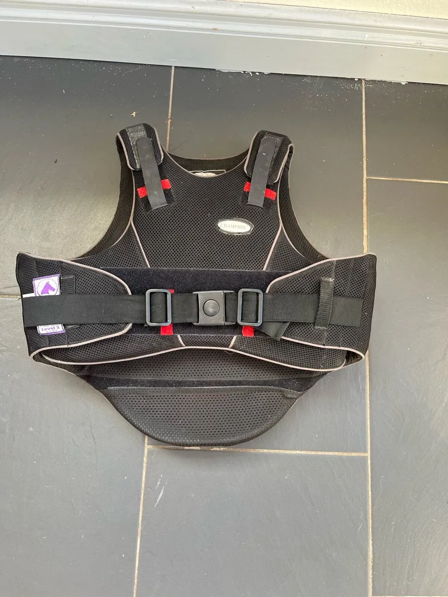 Equine body protector and riding helmet - Image 3