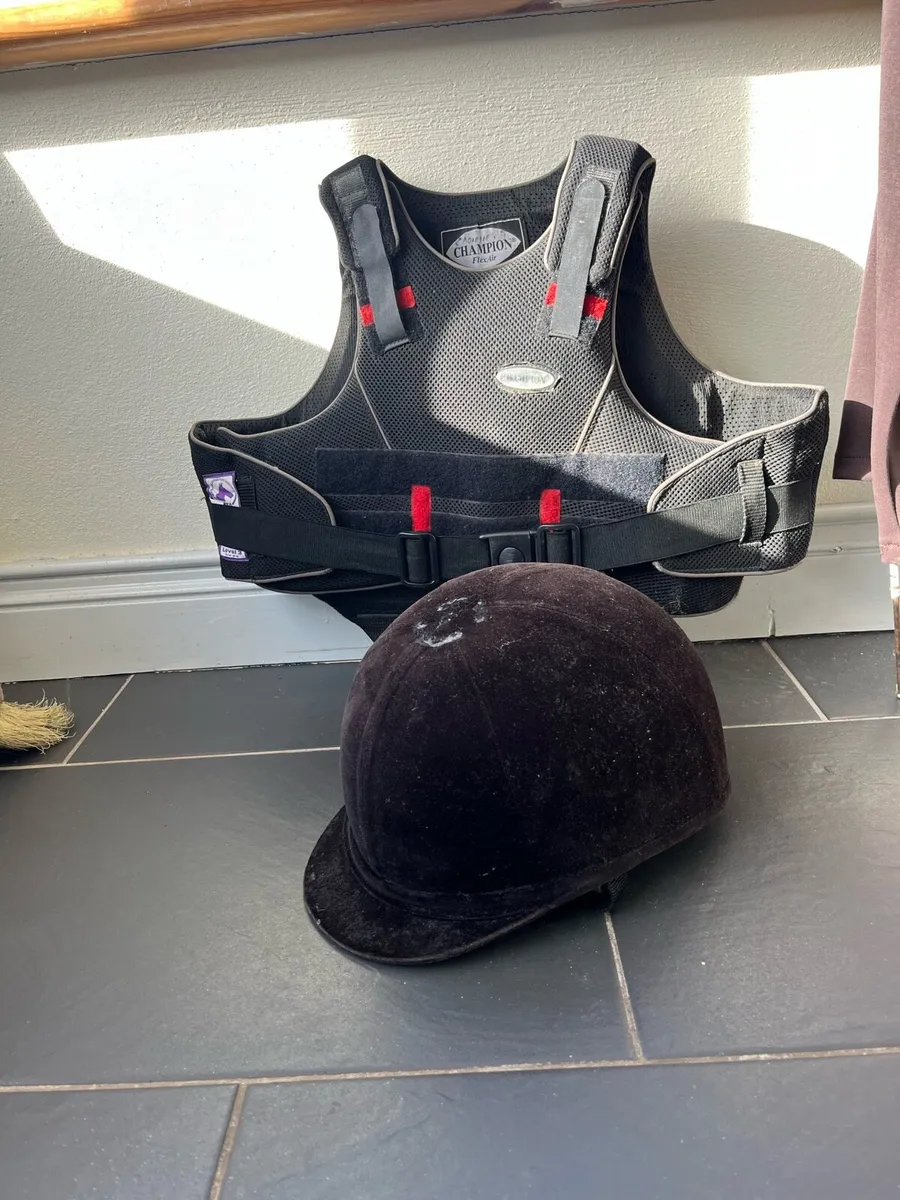 Equine body protector and riding helmet - Image 1