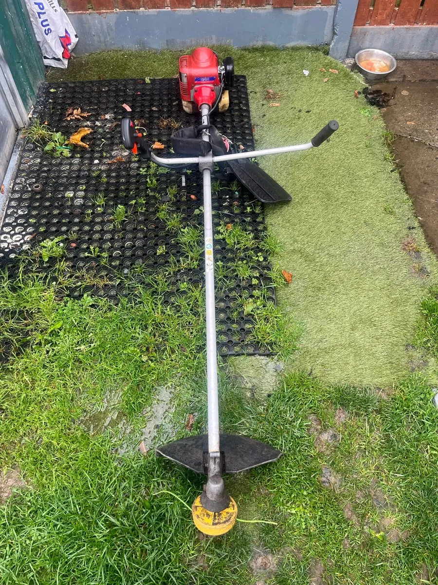 Strimmer - Image 1