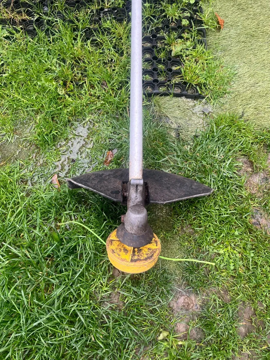 Strimmer - Image 2
